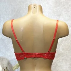 Collection Exclusive Paradise Boutik Soutien-gorge Demi Sein Broderie Florale -Sextoys boutique soutien gorge demi sein 6