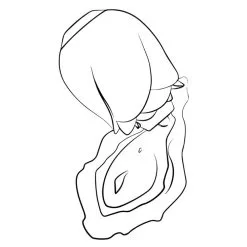 Stimulateur Clitoridien 'Rose' - Romp -Sextoys boutique stimulateur clitoridien rose romp 5