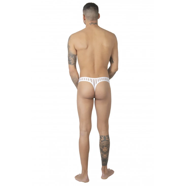 String à Rayures Verticales Transparentes - Eros Veneziani 3 String à Rayures Verticales Transparentes - Eros Veneziani – Image 3