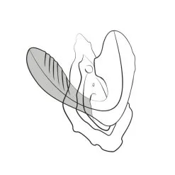 Vibromasseur à Double Stimulation ‘Reverb’ - Romp -Sextoys boutique vibromasseur double stimulation reverb romp 6